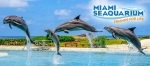 Miami Seaquarium. Guia de atracciones de Miami. que hacer, que ver, informacion.  Miami, FL - ESTADOS UNIDOS