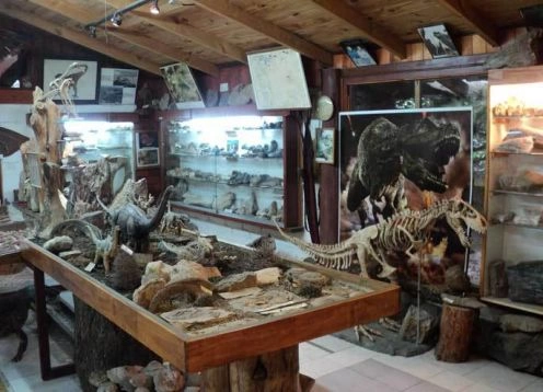 Museo de Geologa y Paleontologa Dr. Rosendo Pascual, 