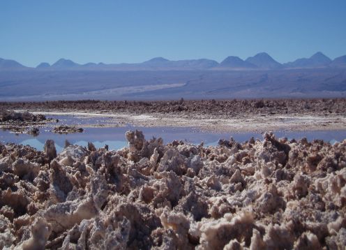  LAGUNAS ALTIPLANICAS -SALAR DE ATACAMA . San Pedro de Atacama, CHILE